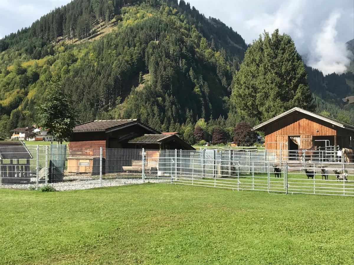 Pony-Ziegen-Hasen-Ranch Bichlbach Apartment ภายนอก รูปภาพ