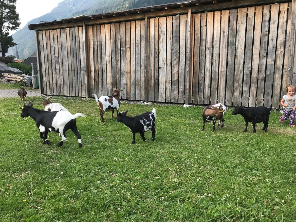 Pony-Ziegen-Hasen-Ranch Bichlbach Apartment ภายนอก รูปภาพ