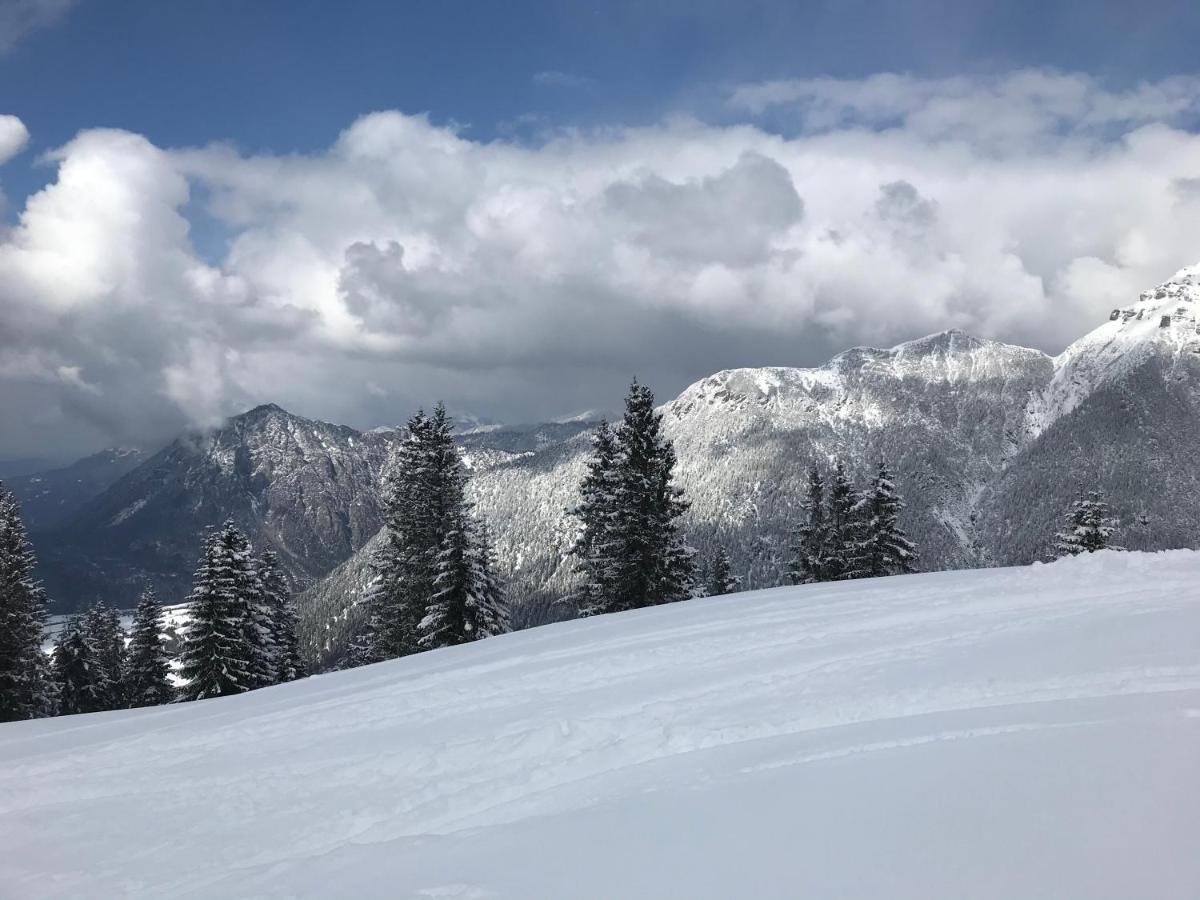 Pony-Ziegen-Hasen-Ranch Bichlbach Apartment ภายนอก รูปภาพ